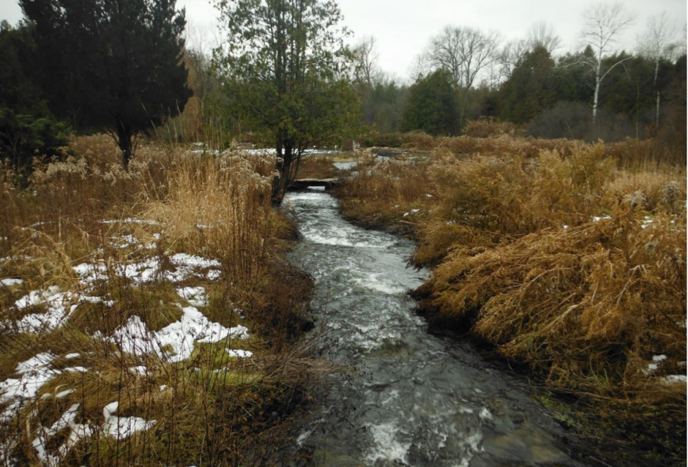 Sorry! Image not available at this time